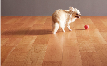 鳴き声＆光熱費を解決